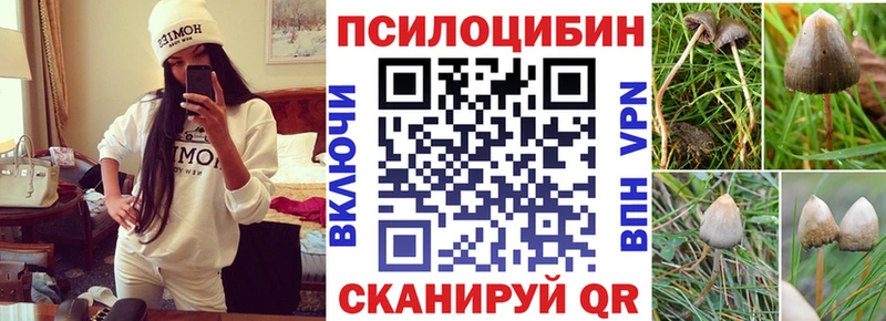 блэк спрут ONION  Светлоград  Псилоцибиновые грибы Magic Shrooms 